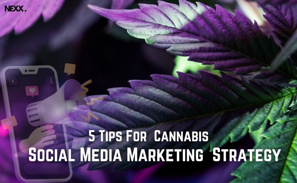 5 Tips For Cannabis Social MediaMarketing Strategy