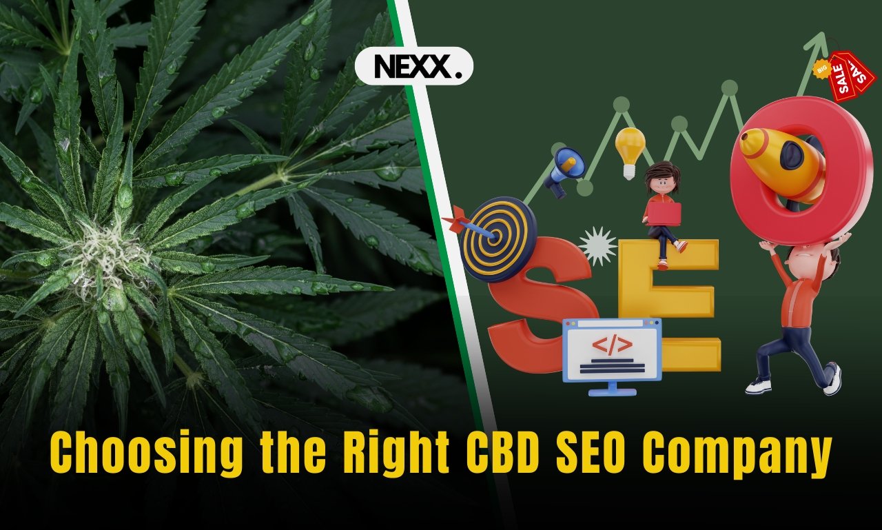 Choosing the Right CBD SEO Company Key Factors to Consider