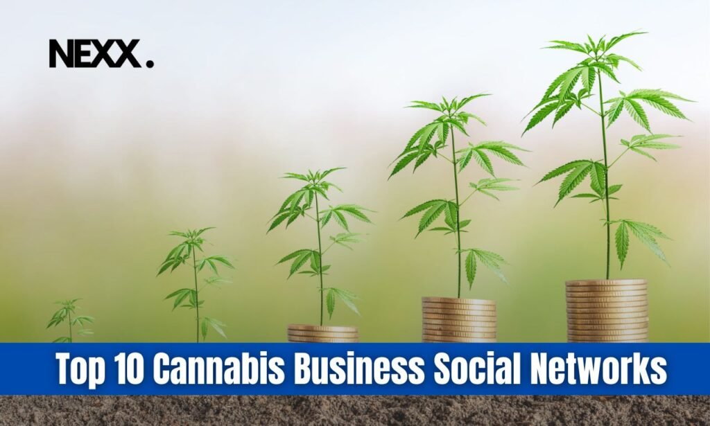 Top 10 Cannabis Business Social Networks You Should Join