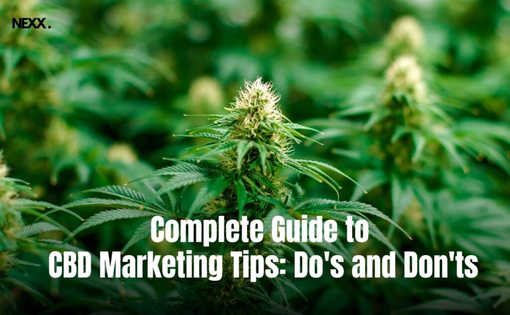 Complete Guide to CBD Marketing Tips: Do's and Don'ts